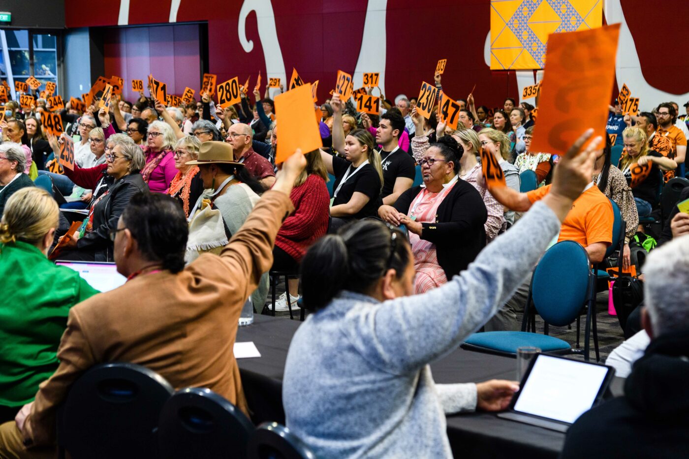Members voting on resolutions at Hui-ā-tau 2022.